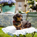 Fortnum's dog bow tie tartan 15.5cm - British product