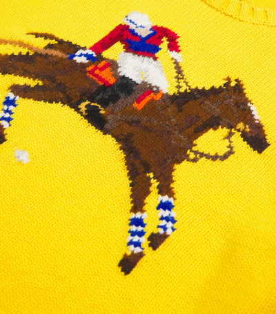 Harrods Sweater polo en coton pour enfants, 7-14 ans - Acheter en ligne sur McGrocer