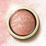Max Factor Powder Blush Nude Mauve 10, imported from the UK