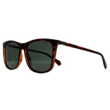 Polaroid PLD 6103 brown polarized men sunglasses, UK version