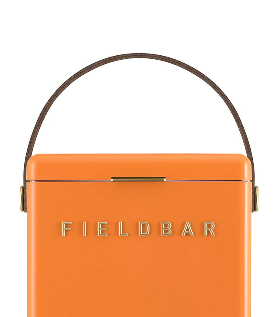 Fieldbar drinks box cooler with interchangeable straps 10L - British product