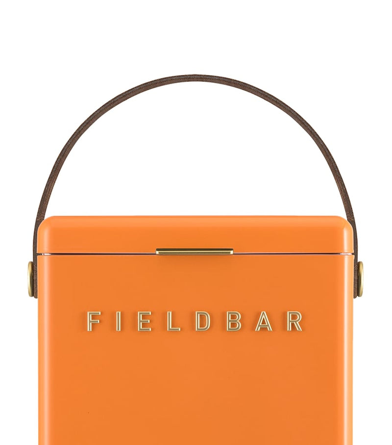 Fieldbar drinks box cooler with interchangeable straps 10L - British product