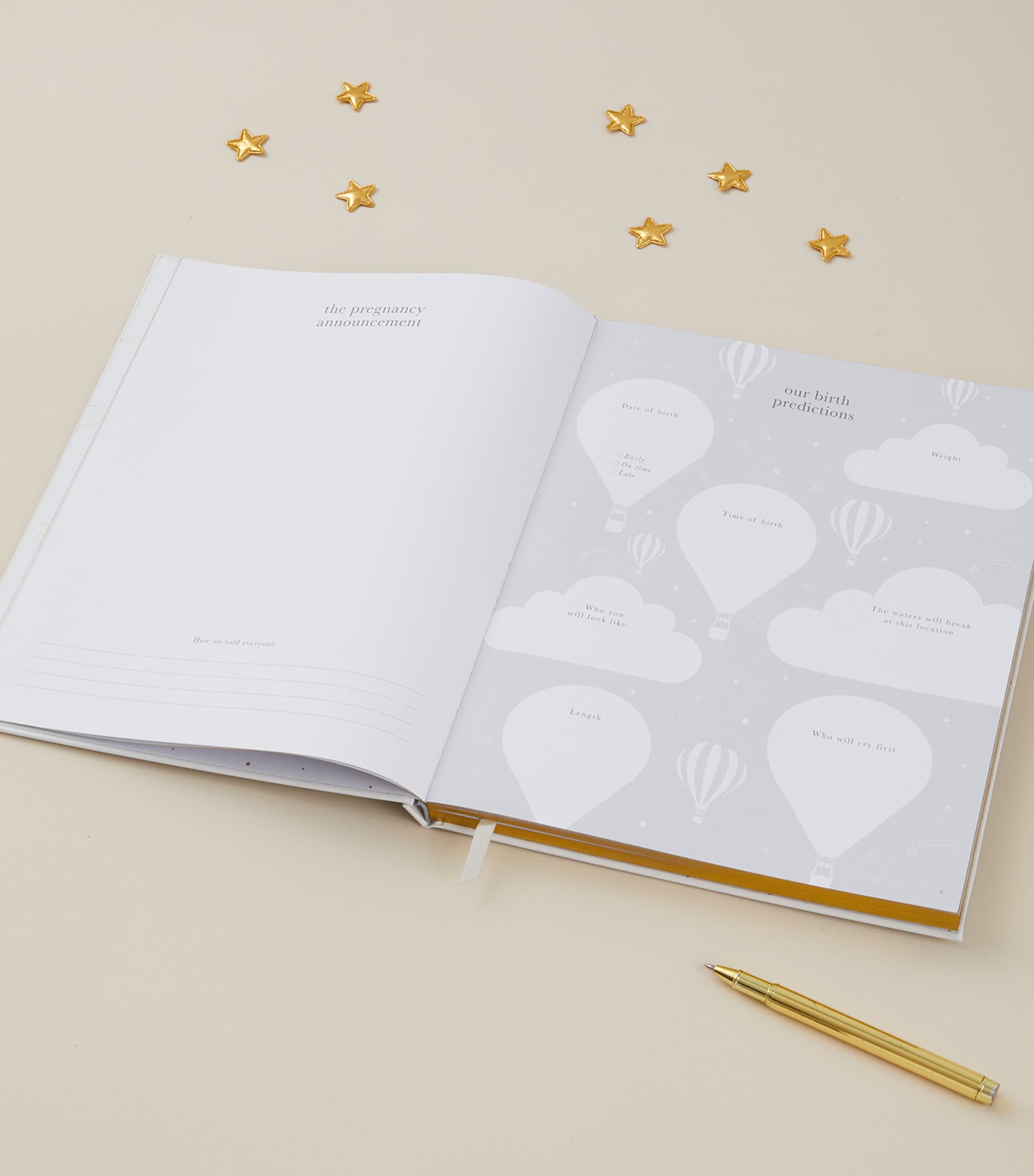 Blush and Gold Safari My Pregnancy Journal - British product