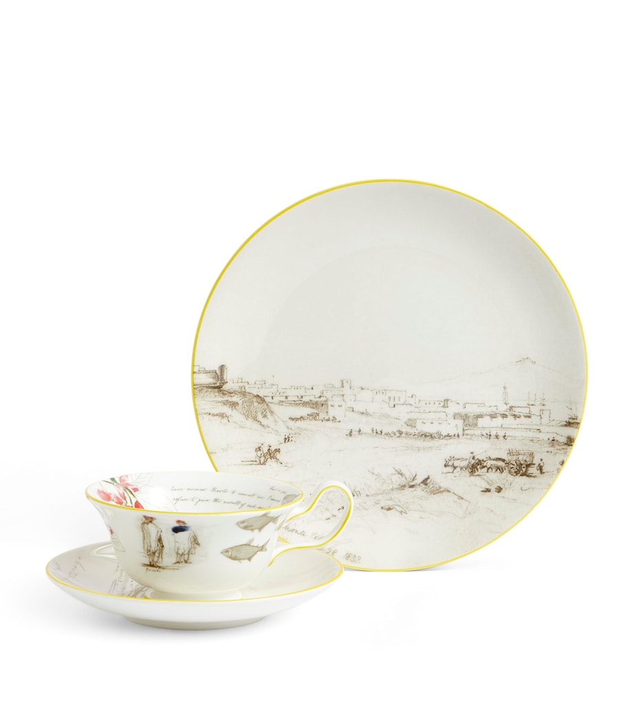 Wedgwood bone china tea set with Voyage of the Beagle design, 3-piece set (British brand)