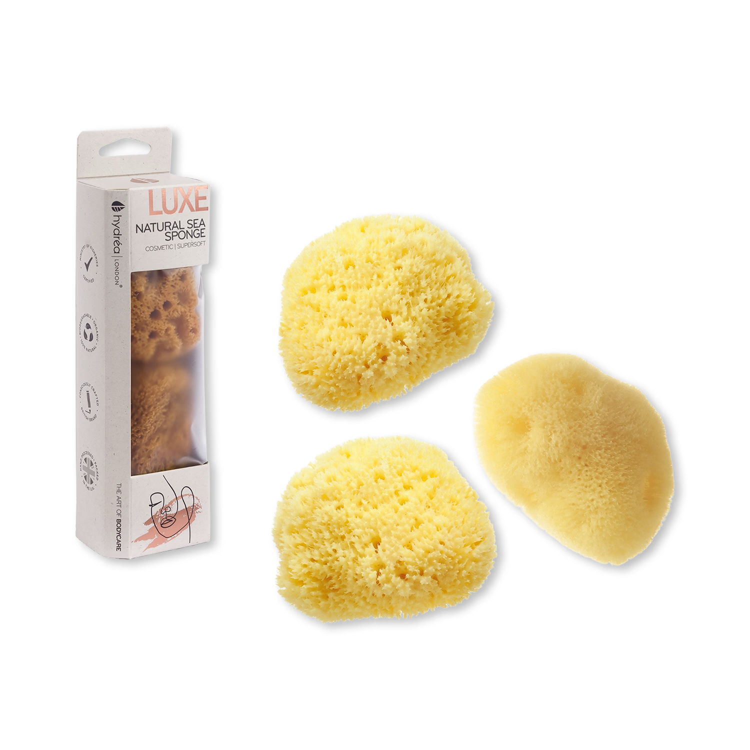 Hydréa London cosmetic sea sponge set of 3, imported from the UK