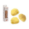 Hydréa London cosmetic sea sponge set of 3, imported from the UK