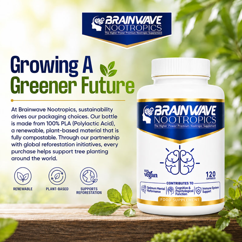 Brainwave Nootropics brain supplement complex 120 capsules (British brand)