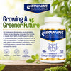 Brainwave Nootropics brain supplement complex 120 capsules (British brand)