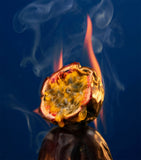 Maison Crivelli Oud Maracuja scented candle 190g, imported from the UK