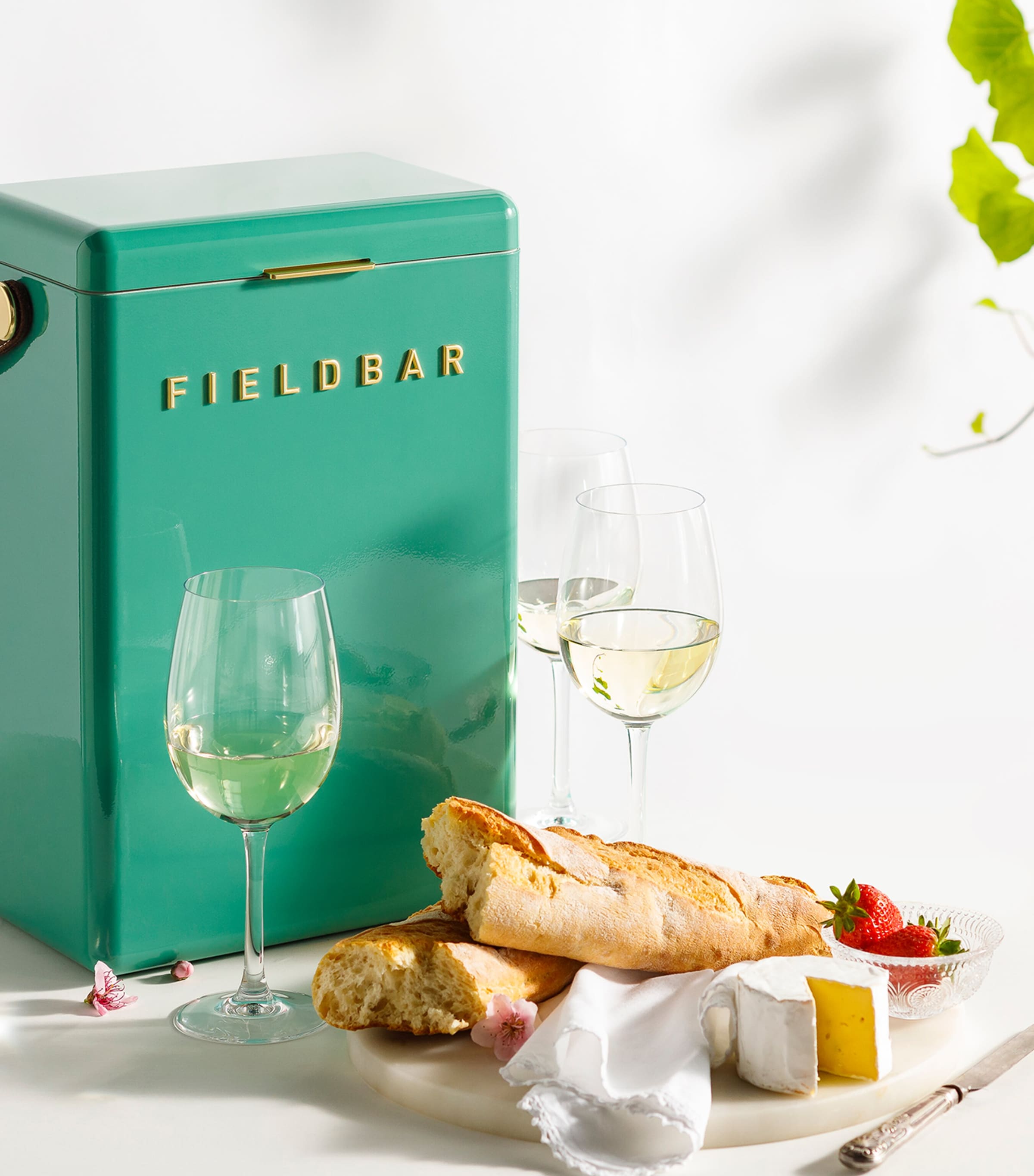 Fieldbar drinks box cooler with interchangeable straps 10L - British product