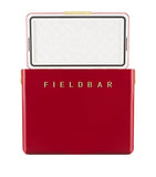 Fieldbar Gin Trunk cooler box 24L - British product