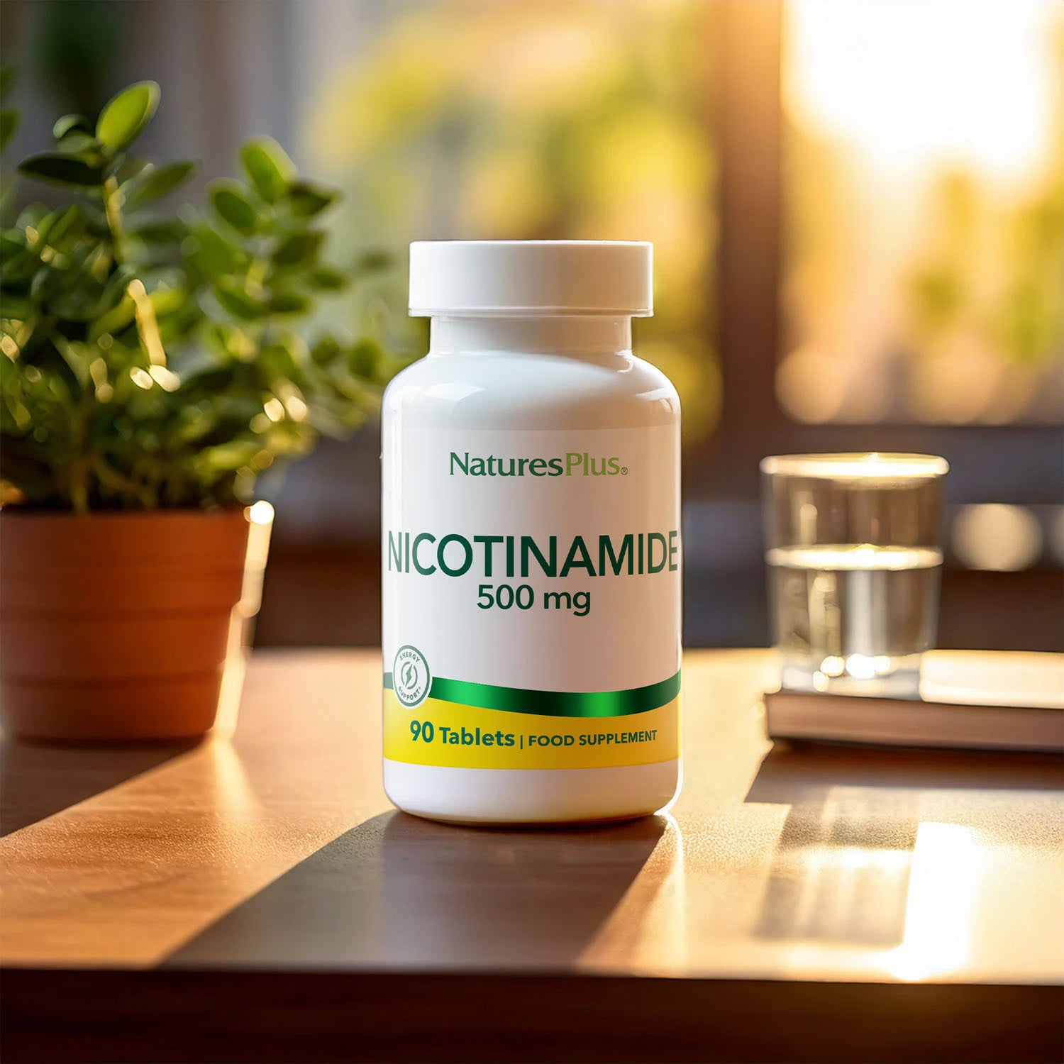 NaturesPlus nicotinamide 500mg tablets, UK version