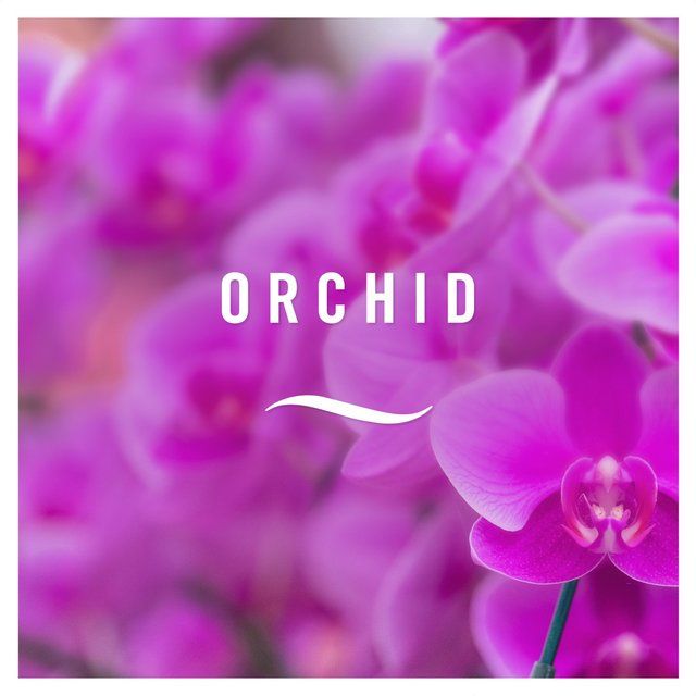 Febreze Zero% 3Volution Starter Kit Orchid