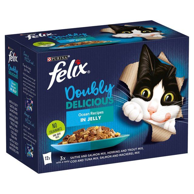 Felix Doubly Delicious Ocean Recipes Wet Cat Food    12 x 100g