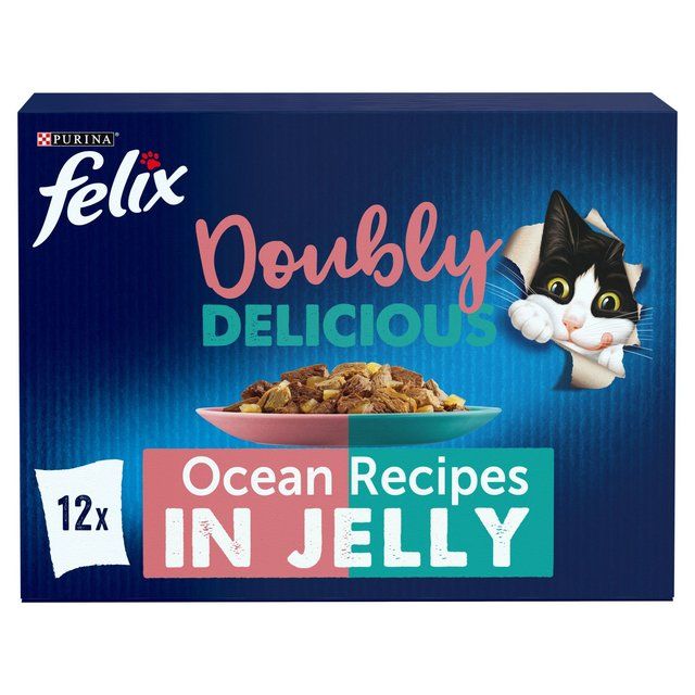 Felix Doubly Delicious Ocean Recipes Wet Cat Food    12 x 100g