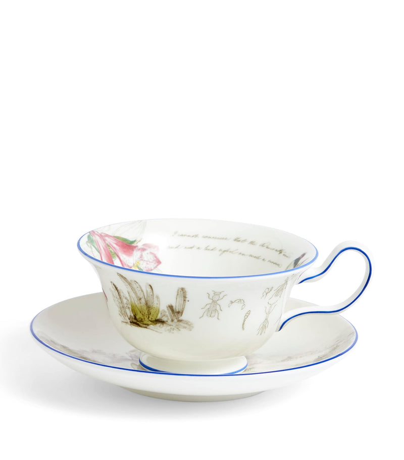 Wedgwood Voyage of the Beagle Chile bone china tea set (British brand)