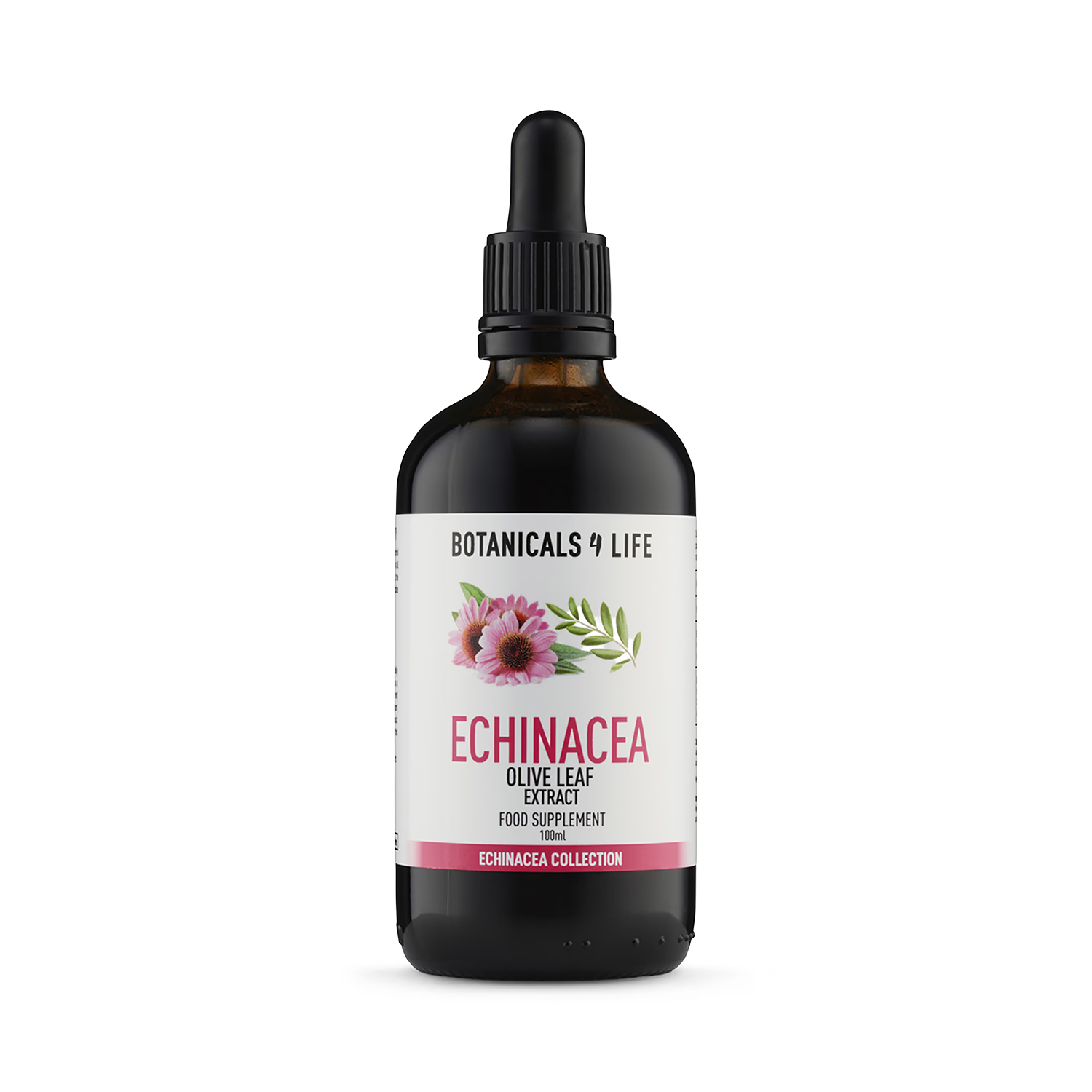 Botanicals 4 Life Echinacea & Olive Leaf 100ml, imported from the UK
