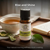 Il Labirinto Officinale Bergamot Essential Oil (British brand)