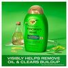 OGX Rosemary Mint Conditioner 385ml, imported from the UK