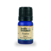 Holly Botanic festive essential oil blend 10ml (British brand)