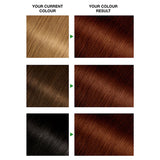 Garnier Nutrisse 4.5 Auburn Red Permanent Hair Dye