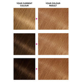 Garnier Nutrisse 7.3 Golden Copper Permanent Hair Dye