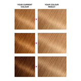 Garnier Olia 8.0 Blond Permanent Hårfarge
