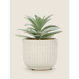 George Home Artificial Aloe in Ribbed Pot