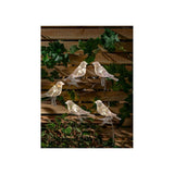 George Home Bird String Lights 5 Pack