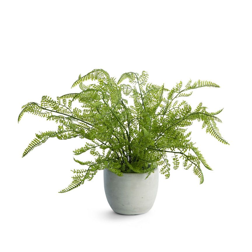 George Home Faux Fern In Grey Pot