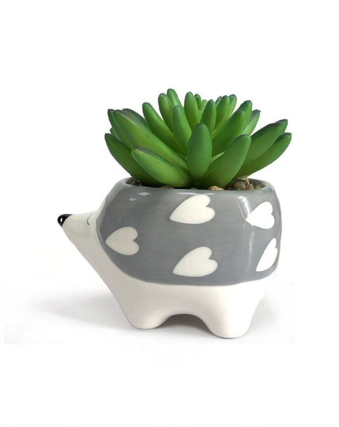 George Home Hedgehog Faux Succulent