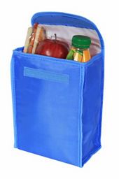 George Home Lunch Bag (Colours may vary)