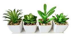 George Home Mini Faux Succulent (Variety may vary)