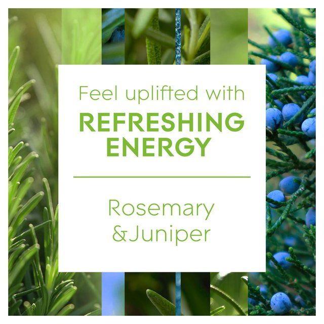 Glade Aromatherapy Reed Diffuser Refreshing Energy   80ml