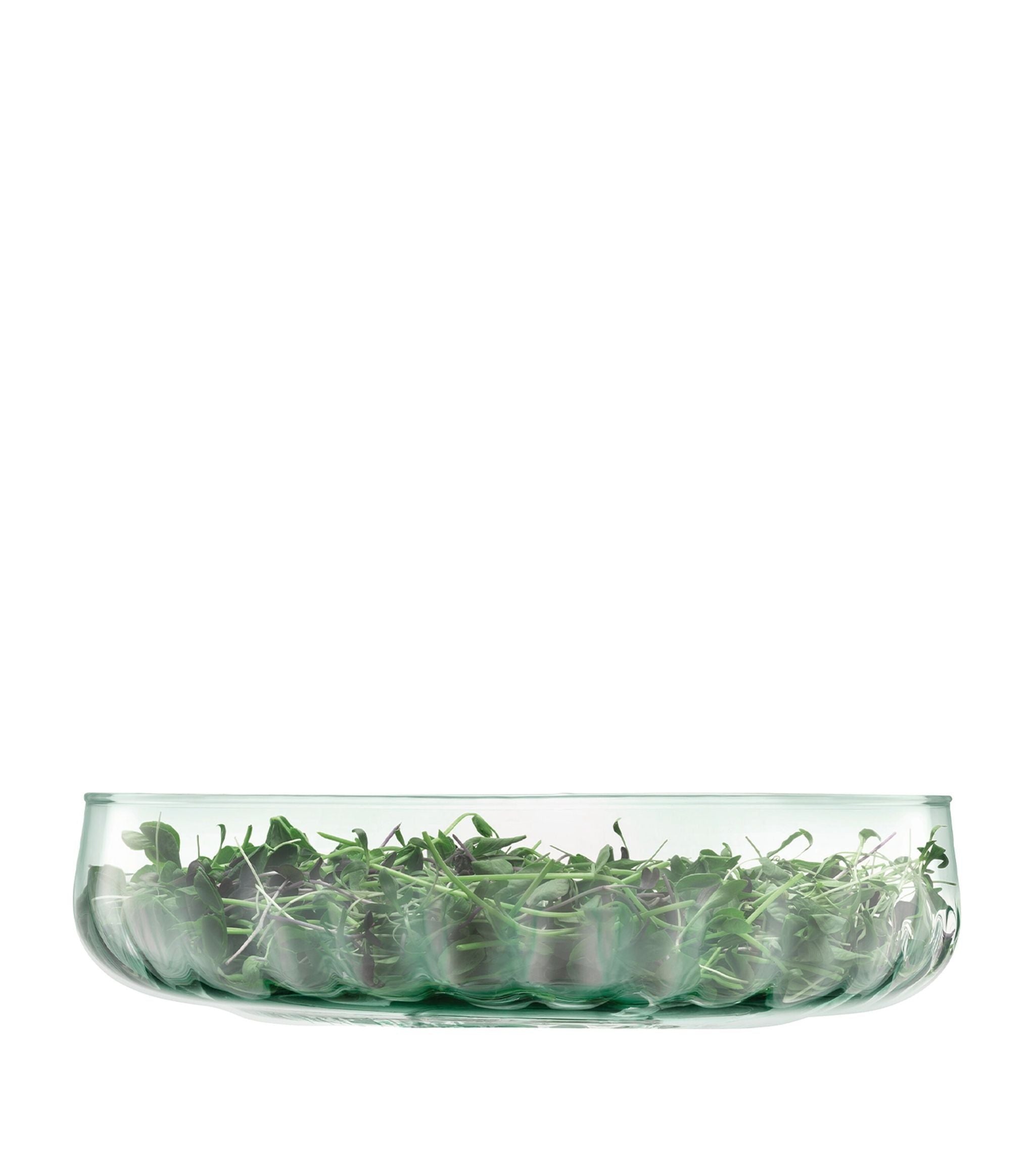 Glass Mia Low Bowl (31.5cm)