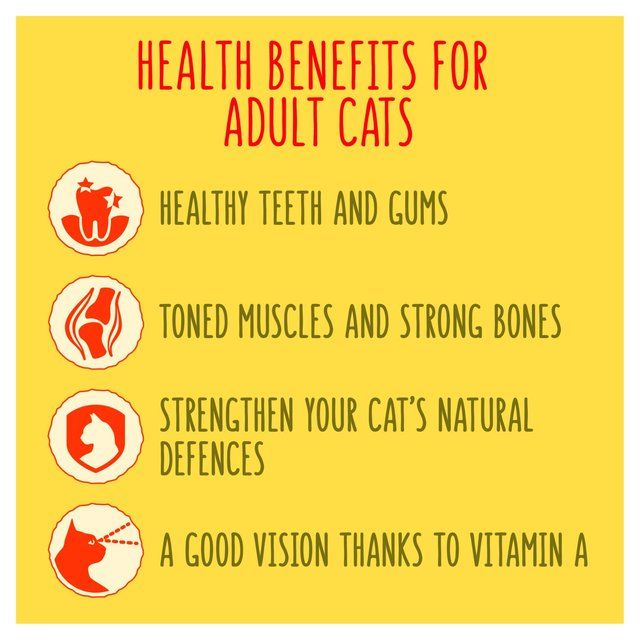 Go-Cat Crunchy &amp;amp; Tender Salmon and Tuna Dry Cat Food    900g