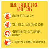 Go-Cat Crunchy &amp;amp; Tender Salmon and Tuna Dry Cat Food    900g