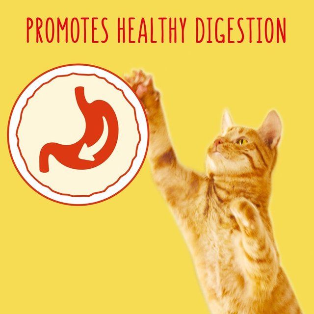 Go-Cat Herring and Tuna Dry Cat Food    320g