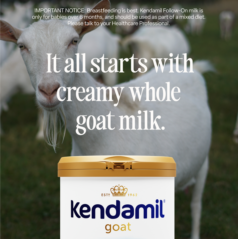 Kendamil goat follow-on milk Stage 2 for 6-12 months - British product