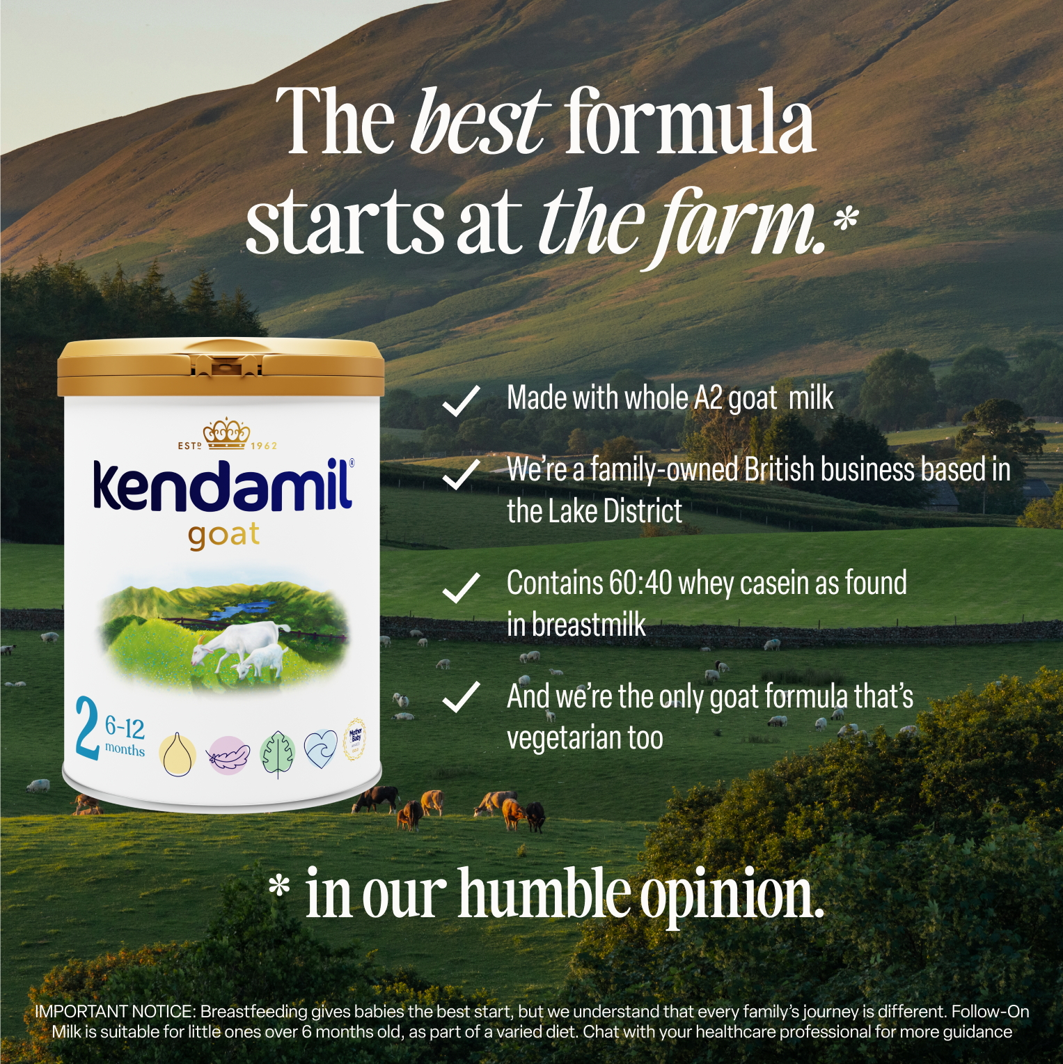 Kendamil goat follow-on milk Stage 2 for 6-12 months - British product