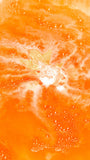 Goldfish Bath Bomb