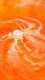 Goldfish Bath Bomb