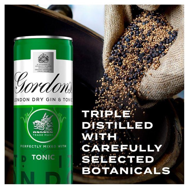 Gordon's Gin &amp;amp; Tonic   10 x 250ml