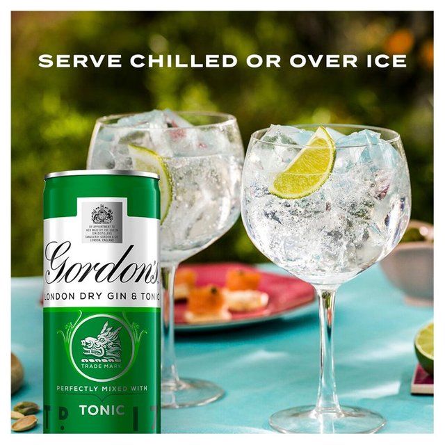 Gordon's Gin &amp;amp; Tonic   10 x 250ml