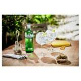 Gordon's London Dry Gin   1L