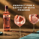 Gordon's Premium Distilled Pink Gin, 1L