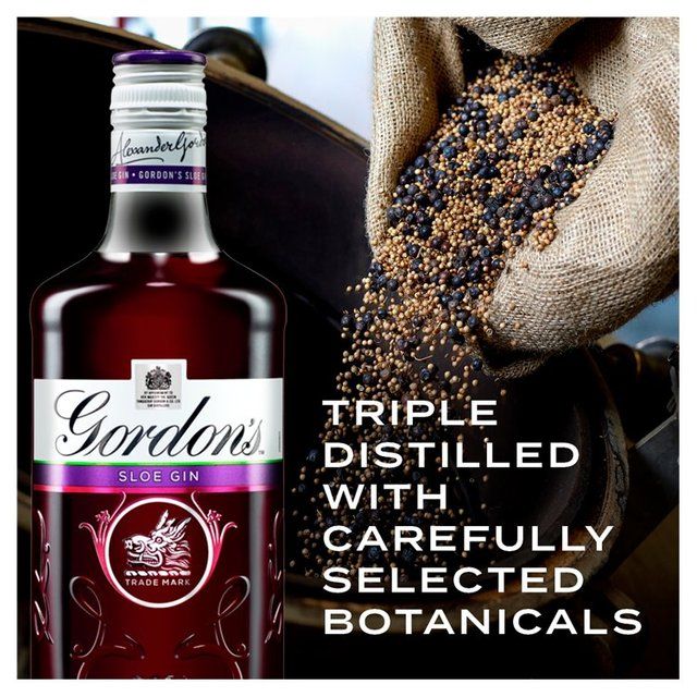 Gordon's Sloe Gin   70cl