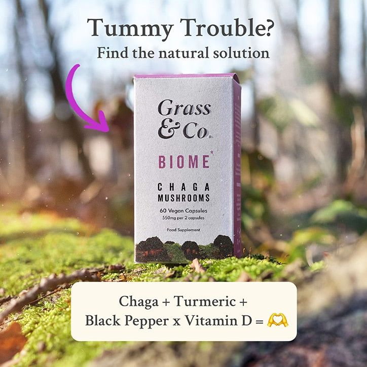 Grass &amp;amp; Co. BIOME Chaga Mushrooms with Curcumin + Ginger 60 Vegan Capsules