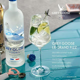 Grey Goose Vodka Gift Tin