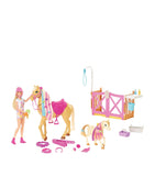 Groom 'n Care Playset